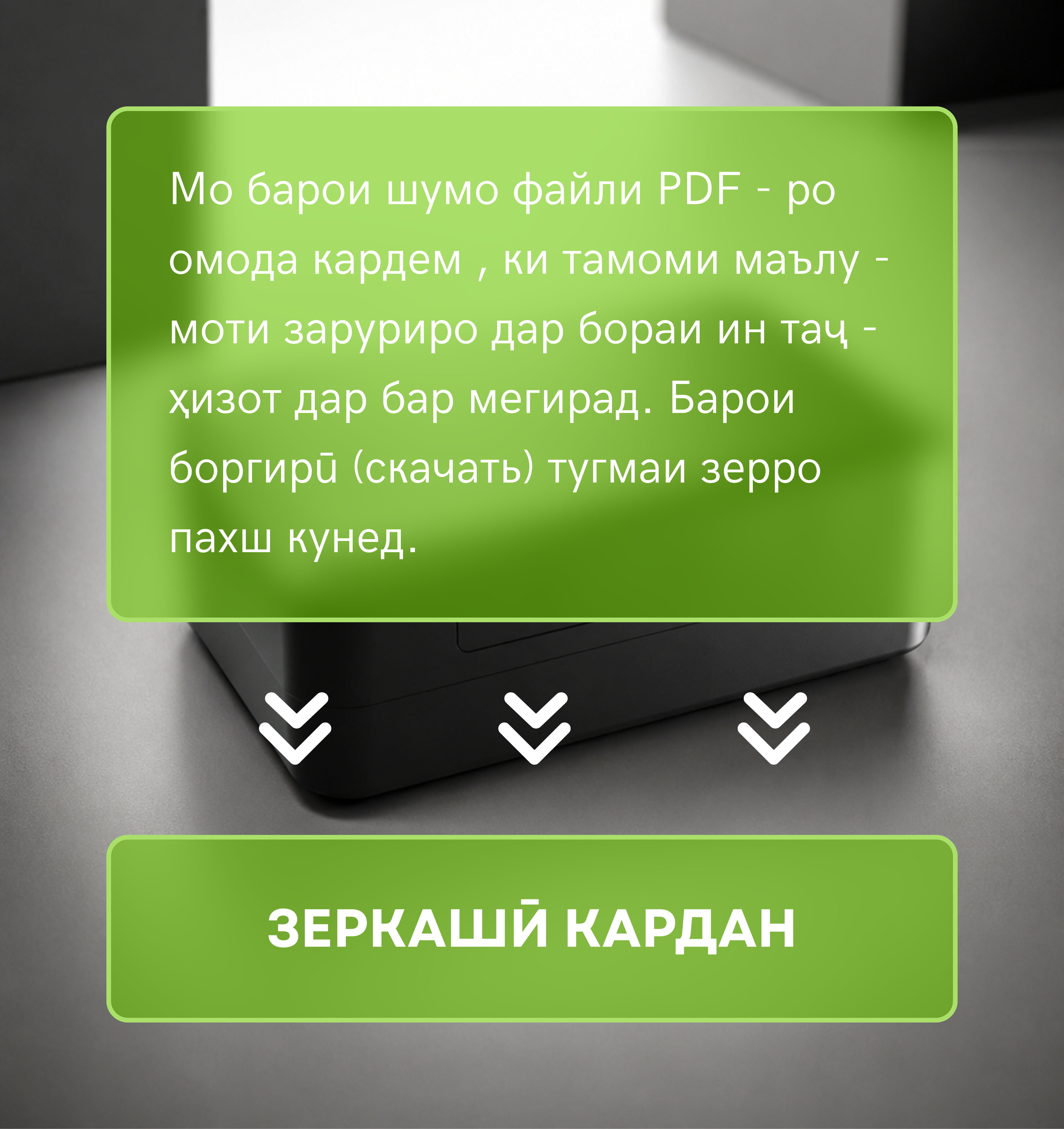 Product 5 Back